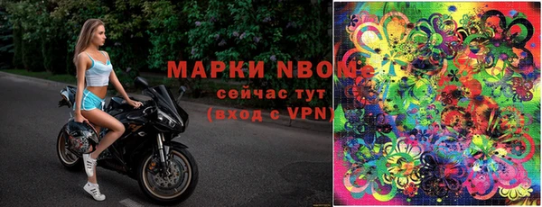 spice Алзамай