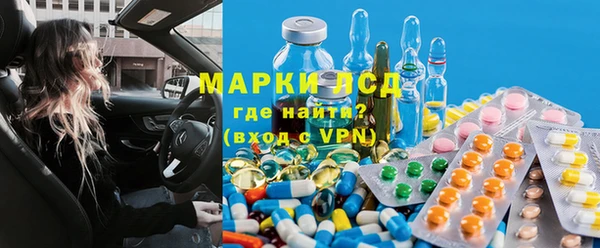 индика Аркадак