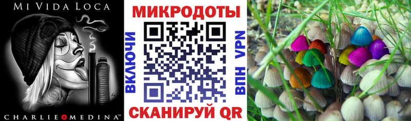 Галлюциногенные грибы ЛСД  Октябрьский 