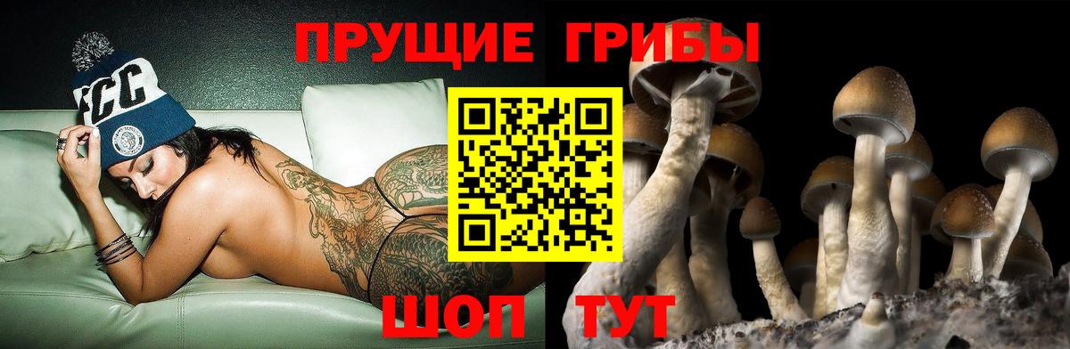 Галлюциногенные грибы GOLDEN TEACHER Октябрьский